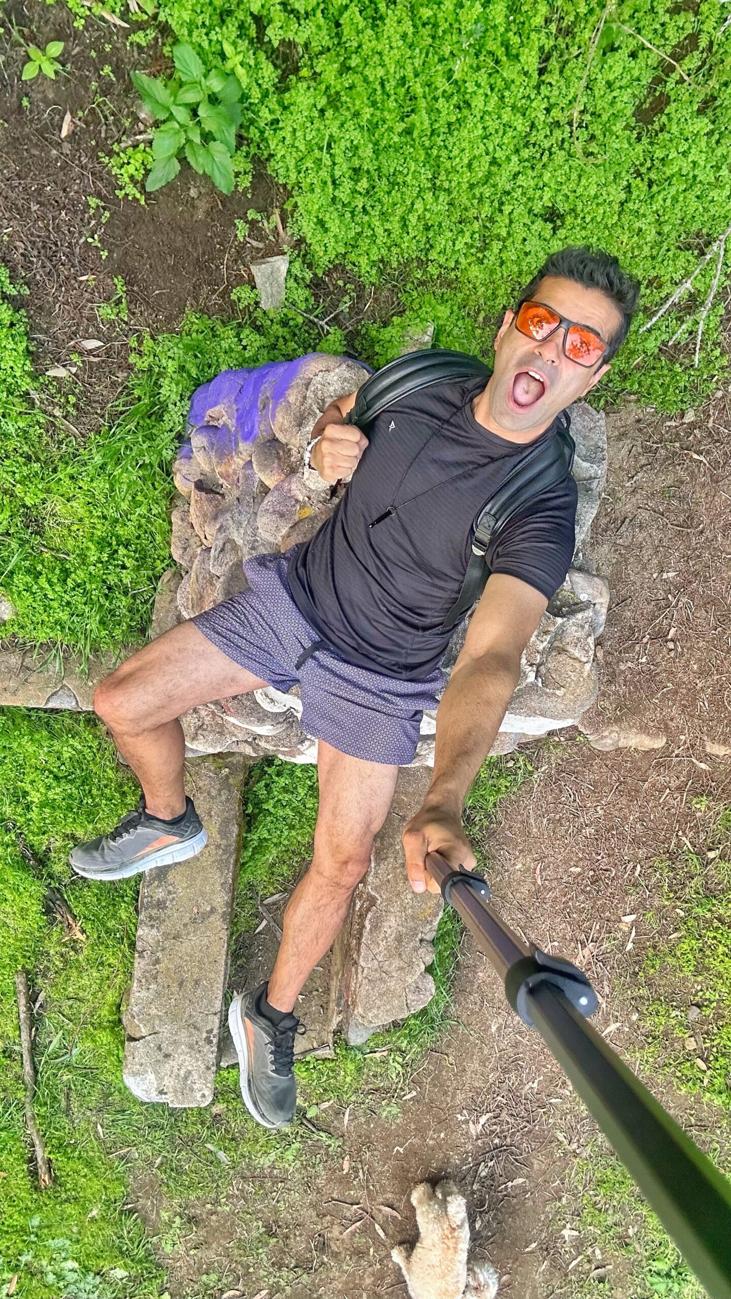 Mielenenergia ja Ahoo yhdistys sisältävät manifestoinnin, energiahoidot, tietoisuustyön, retriitit, meditaatiot, hyvinvointivalmennukset, henkisen kasvun, terveyden tukemisen, tapahtumat, yhteisöllisyyden, itsensä kehittämisen ja korkeamman värähtelyn aktivoimisen.